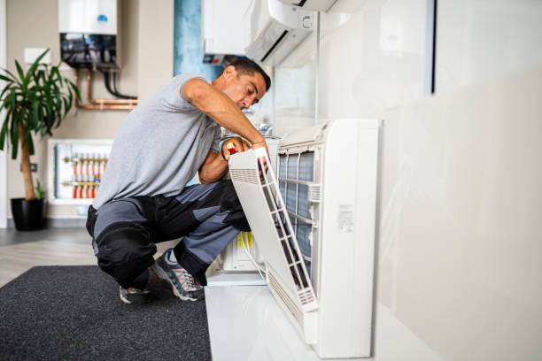 Best Air Duct Sanitizing Services  in Grand Island, NE