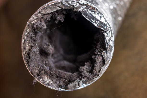 Best HVAC Duct Inspection Services  in Grand Island, NE